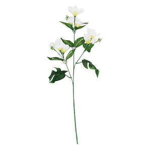 【2025年夏】プルメリアスプレイ ホワイト (No178-21_05)