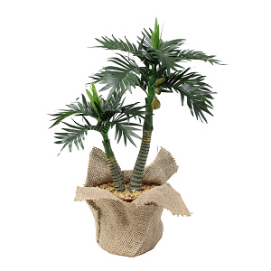 【2025年夏】ミニポットヤシ (No178-22_07)