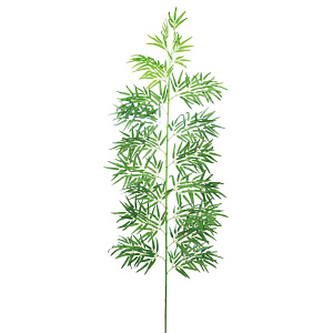 【2025年夏】バンブーツリー240cm (No178-13_03)