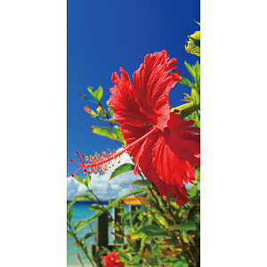 【2025年夏】タペストリー(防炎) ハイビスカス (No178-04_06)