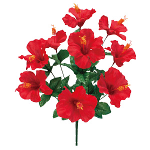 【2025年夏】ハイビスカスブッシュ (No178-21_01)