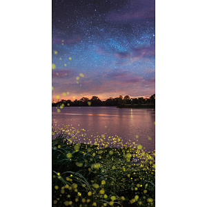 【2025年夏】タペストリー(防炎) ほたる (No178-04_02)