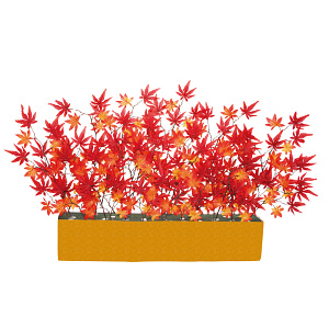 【2025年秋商品】ワイドスタンド紅葉(No179-1706)