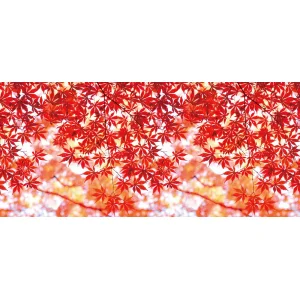 【2025年秋商品】ディスプレイシート モミジ(写真柄)(No179-0809)