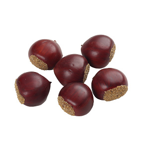 【2025年秋商品】クリノ実 6個セット(No179-1805)