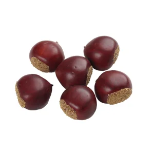 【2025年秋商品】クリノ実 6個セット(No179-1805)