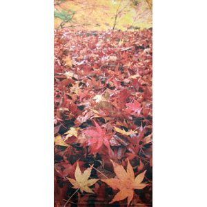 【2025年秋商品】タペストリー 紅葉ジュウタン(No179-0510)