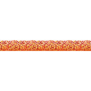 【2025年秋商品】ロール幕 モミジ(No179-0802)