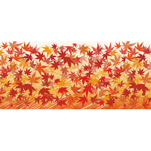 【2025年秋商品】ディスプレイシート モミジ(No179-0808)