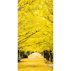 【2025年秋商品】タペストリー(防炎)銀杏並木(No179-0506)