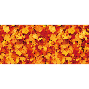 【2025年秋商品】ディスプレイシート 楓(No179-0810)