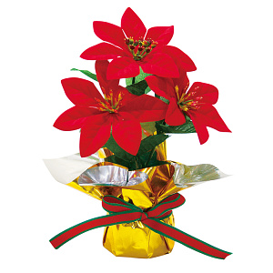 【2024年商品】ポインセチアミニポットレッド (No.043066)