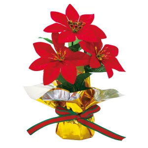 【2024年商品】ポインセチアミニポットレッド (No.043066)