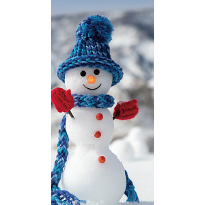 【2024年商品】タペストリー(防炎)スノーマン (No.045784)