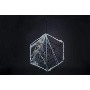 【2025年秋商品】ボーンリース(スパイダーウェブ)(No179-1202)