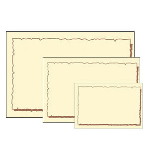 色付ショーカード 大 17-5394
