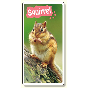 フォトジョイシール ファニーカンパニー リス (915-45)