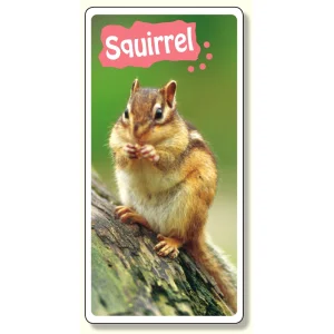 フォトジョイシール ファニーカンパニー リス (915-45)