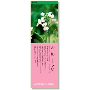 シールギャラリー 野菜の花 だいこん (916-32)