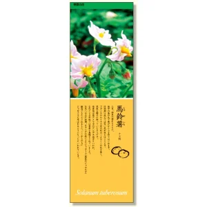シールギャラリー 野菜の花 じゃがいも (916-33)