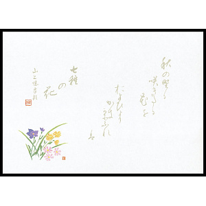 尺4無蛍光紙懐石まっと 万葉(100枚入) 秋草(W64533)