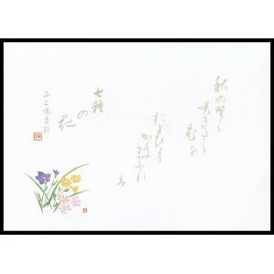 尺4無蛍光紙懐石まっと 万葉(100枚入) 秋草(W64533)