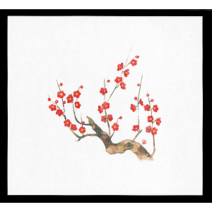 遠赤保鮮紙(大)(100枚入) 梅(W64881)