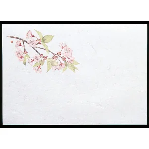 尺1お手元まっと 四季 (100枚入) 桜(W64951)