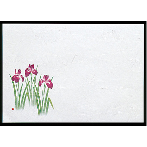 尺1お手元まっと 四季 (100枚入) 菖蒲(W64952)