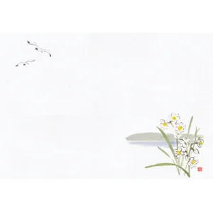 尺1お手元まっと 花景色 (100枚入) 水仙 (W64969)
