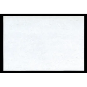 雲竜懐石まっと 白色 (100枚入) 尺5(W65053)