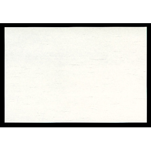 雲竜懐石まっと 生成色 (100枚入) 尺5(W65054)