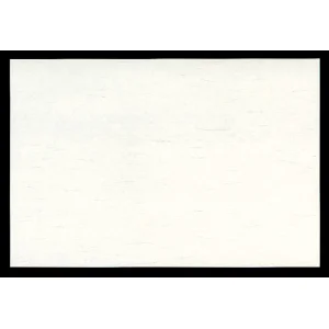 雲竜懐石まっと 生成色 (100枚入) 尺5(W65054)