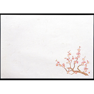 尺5雲竜和紙懐石まっと 四季(100枚入) 梅(W65182)