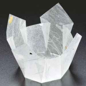 両面OP珍味入 大 (100枚入) 白雲竜(W66399)