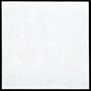 5寸グルメ敷紙 (100枚入) 無地(W66415)