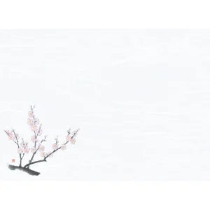 尺3雲竜和紙懐石まっと 花彩(はなさい)(100枚入) 梅(W66428)