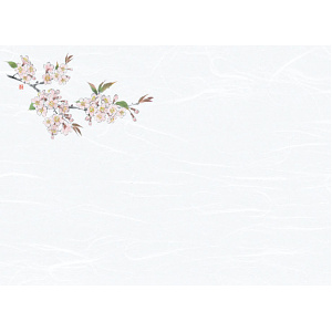 尺3雲竜和紙懐石まっと 花彩(はなさい)(100枚入) 桜(W66429)