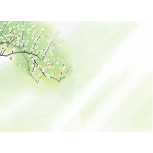 尺3四季彩まっと 花雅(はなみやび)(100枚入) 梅(W66450)