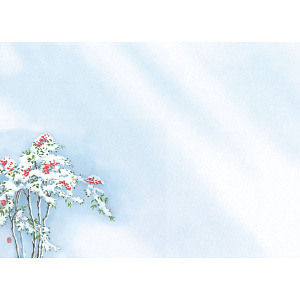 尺3四季彩まっと 花雅(はなみやび)(100枚入) 南天(W66459)