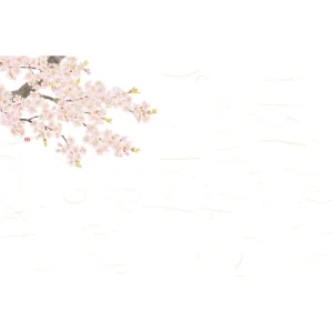 尺3四季彩まっと 花便り(100枚入) 桜(W66625)