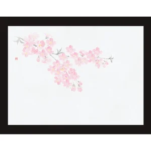 四季彩鮮度保持紙(100枚入) 桜(W69003)