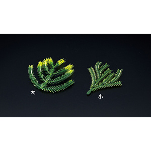 たちかずら飾り(200ヶ入) 大(W25888)