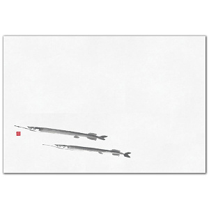 尺2四季彩まっと 鮮魚(100枚入) さより(細魚)(W64971)