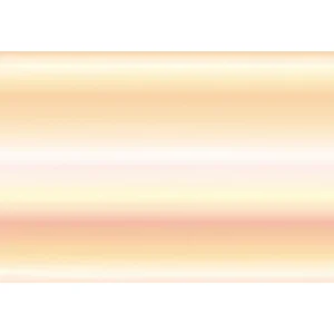 尺3朧(おぼろ)懐石まっと (100枚入) 秋色(W66684)