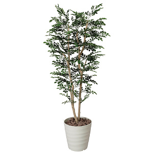 光触媒 人工観葉植物 造花 トネリコ 1.8 (高さ180cm)