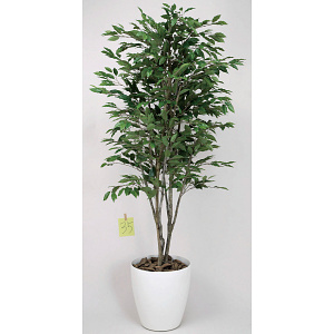 光触媒 人工観葉植物 造花 ベンジャミンツリー 1.8 (高さ180cm)