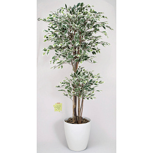 光触媒 人工観葉植物 造花 トロピカルベンジャミン斑入り 1.6 (高さ160cm)