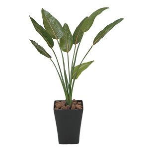 光触媒 人工観葉植物 造花 ストレチア 1.1 (高さ110cm)