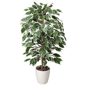 光触媒 人工観葉植物 造花 ゴールデンフィカス 1.0 (高さ100cm)